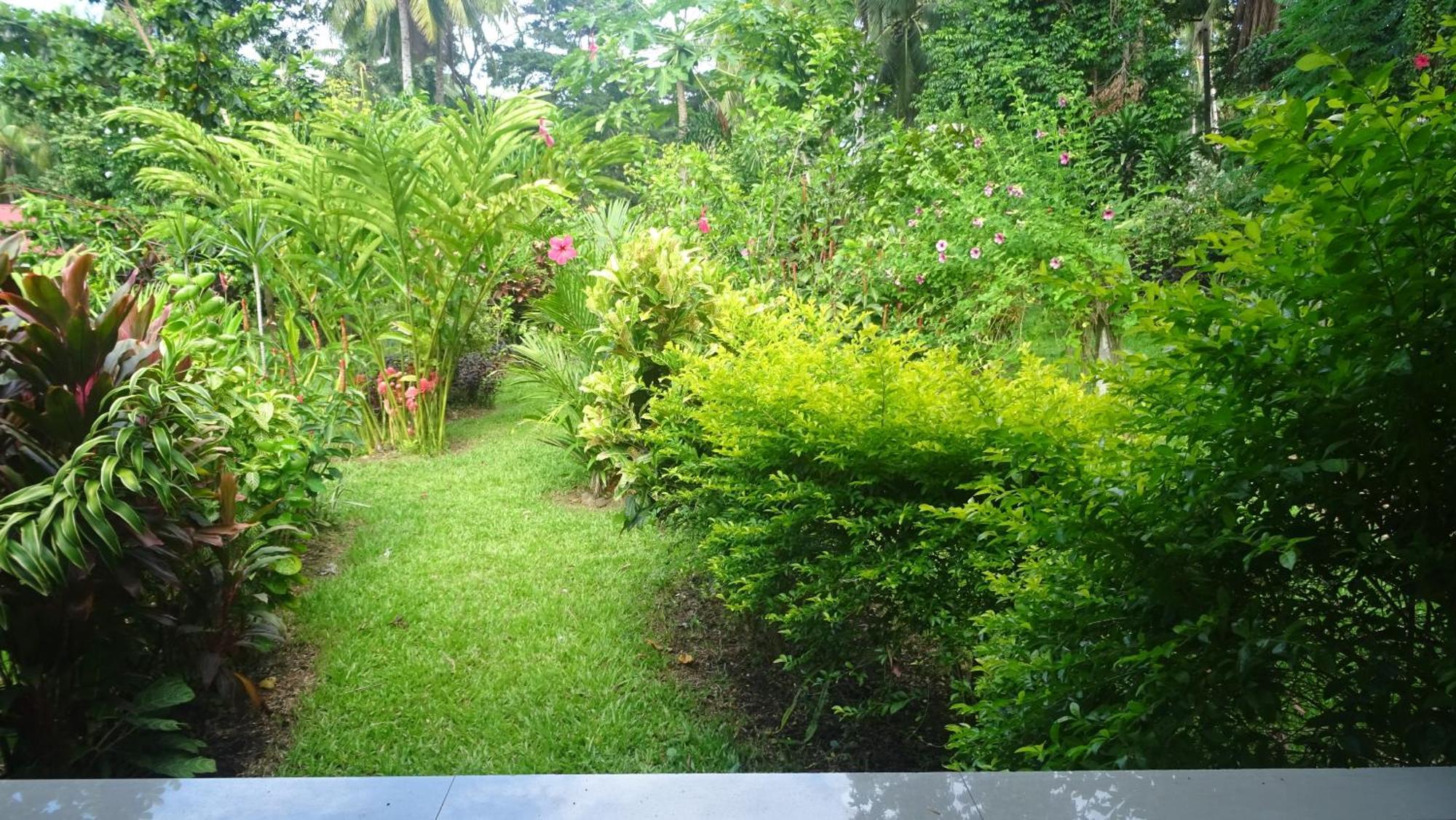 Acacia'S Cottages With Starlink Wifi Mambajao Exterior foto