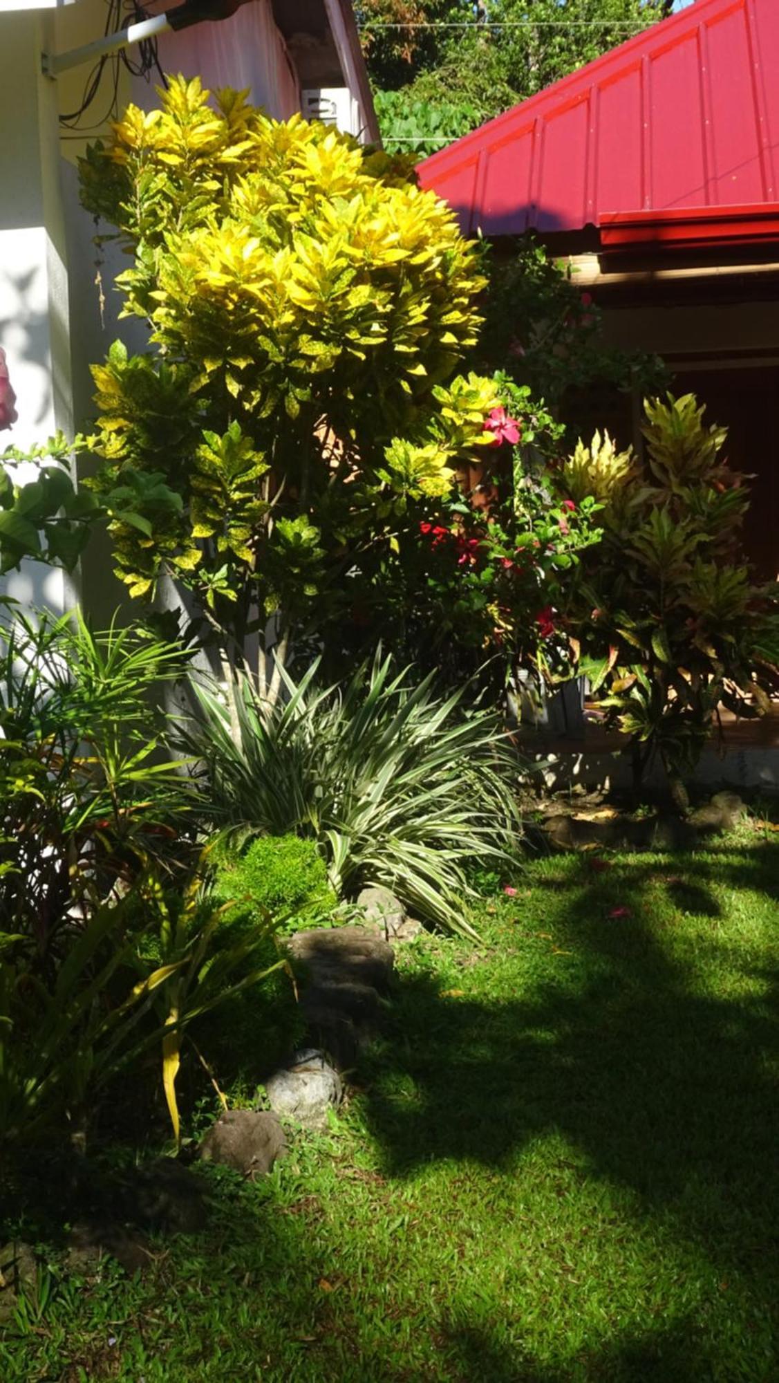 Acacia'S Cottages With Starlink Wifi Mambajao Exterior foto